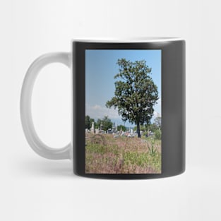 A Resting Place Mug